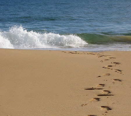 http://www.rachelleb.com/images/2004_05_hawaii/waimea_footprints_...