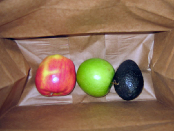 avacado.jpg