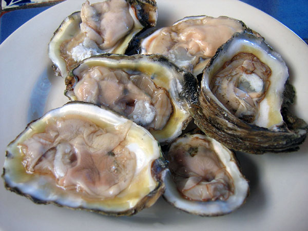 el_barco_mariscos_oysters.jpg