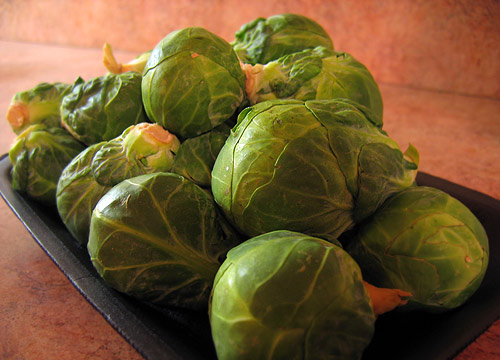 2006_10_brussel_sprouts_bef.jpg