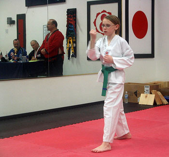 2006_11_taekwondo.jpg
