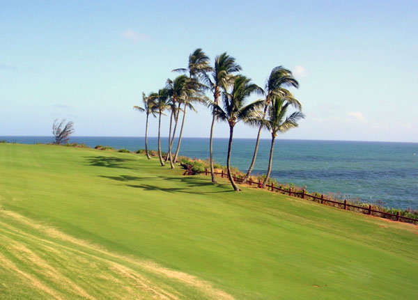 Kauai Lagoons Golf Club - Kiele Course_440800057_o