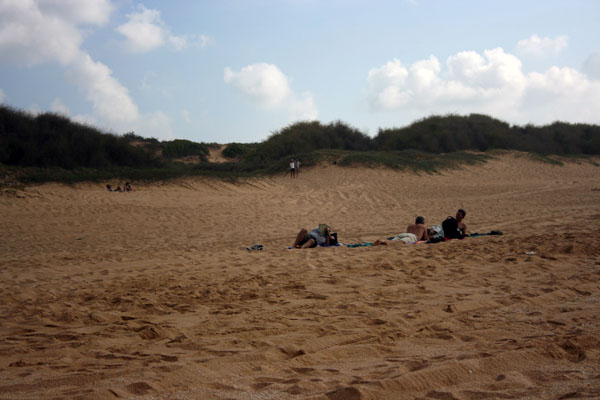 2007_03_polihale_beach_sand.jpg