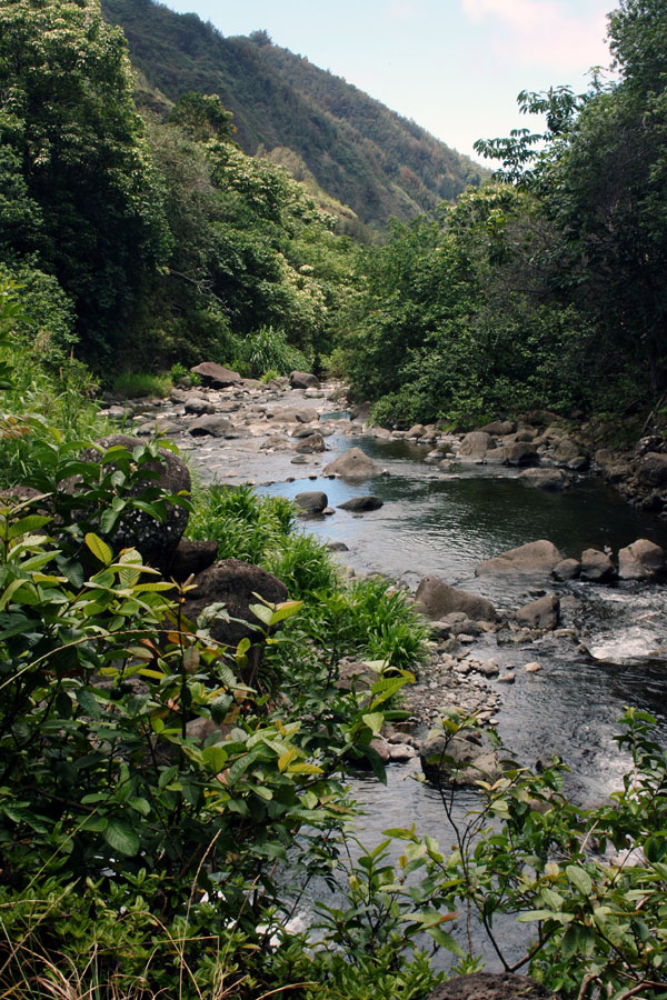 iao stream