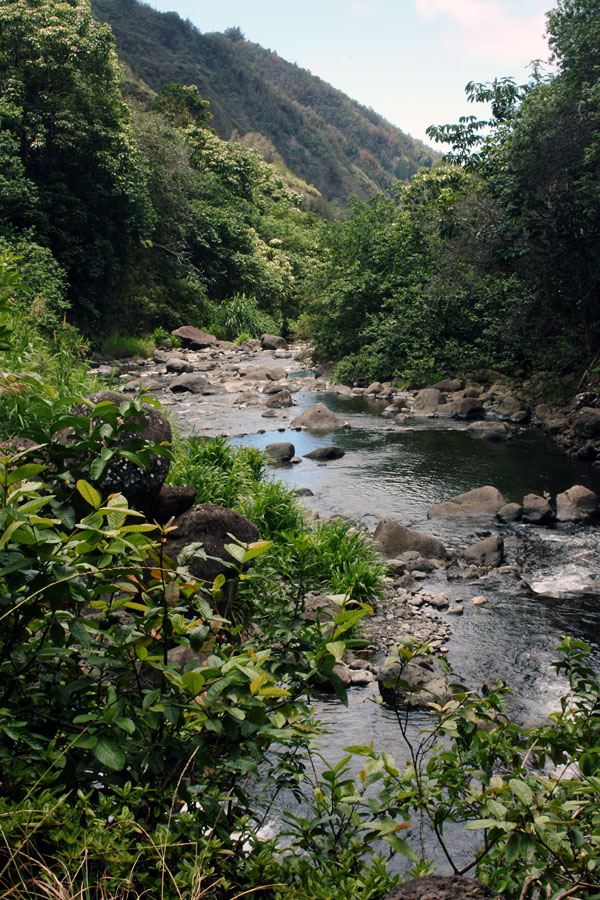 iao_stream