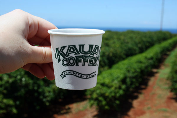 kauai_coffee_cup