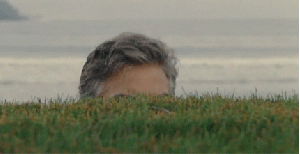 [Image: medium.gif]