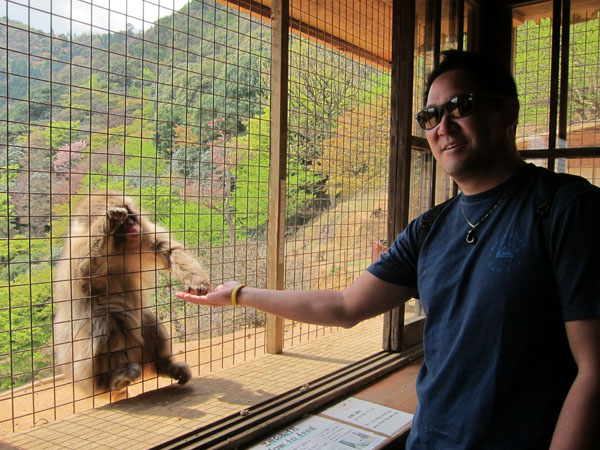 arashiyama_monkey_park_iwatayama_dallas_feed