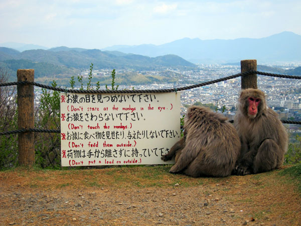 arashiyama_monkey_park_iwatayama_rules