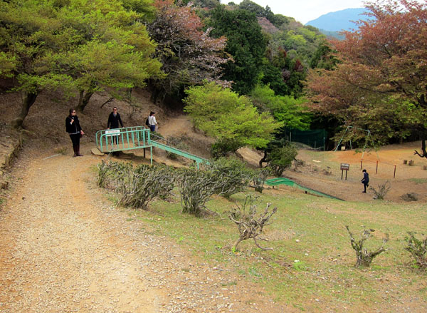 arashiyama_monkey_park_iwatayama_slide