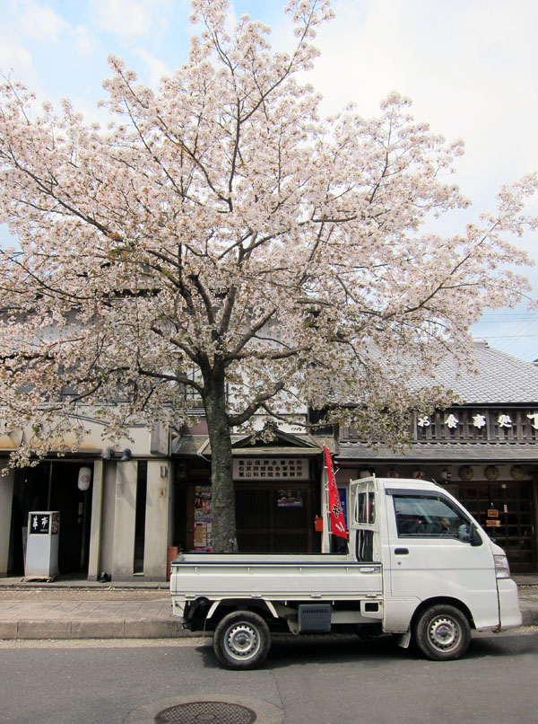 arashiyama_sakura_truck