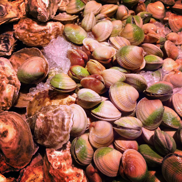 eataly_oysters_clams