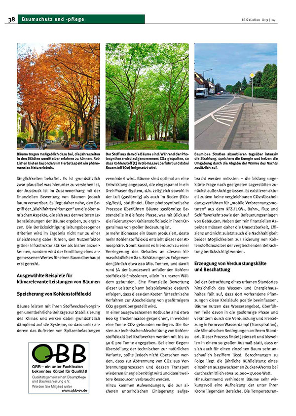 the value of trees_Page_3