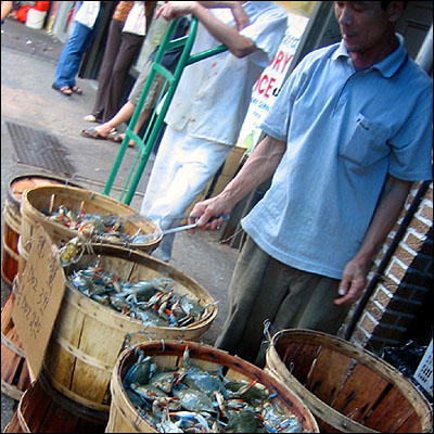 Crabs in Brooklyn's Chinatown