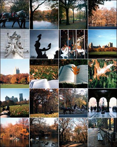 central park new york fall. Tags:central park·New York·New