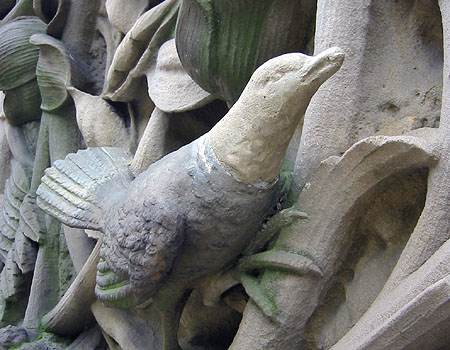 central park new york at christmas. Birds of Central Park